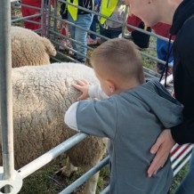 MŠ - Dožínky 2025