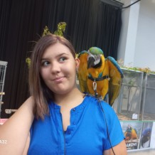 IV.A - Pod křídly exotů