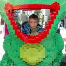 1.A LEGO festival