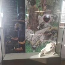 II. třída Archeopark Všestary