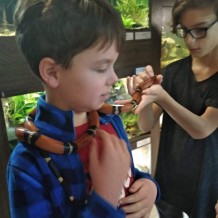 II. třída - chovatelské centrum ZŠ Bezručova