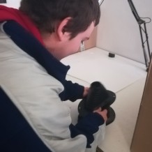 DPBB - Propagační podnik s.r.o.