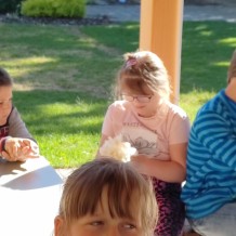 Projektový den Ovečky.