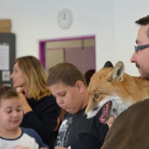 Návštěva lišky Mii