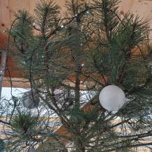 Vyhlášení výsledků výtvarné soutěže NA JEDNÉ VLNĚ