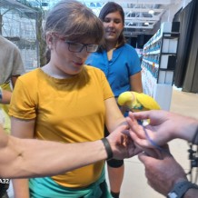 IV.A - Pod křídly exotů