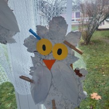 ŠD - Sněžná sova