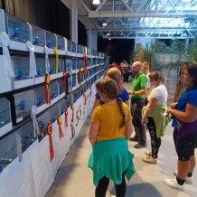 IV.A - Pod křídly exotů