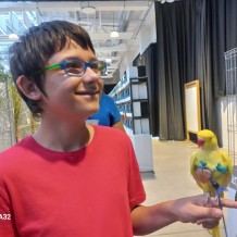 IV.A - Pod křídly exotů