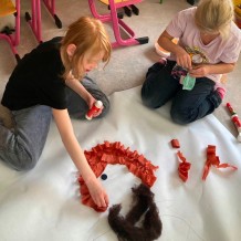 ŠD - Fernão de Magalhães