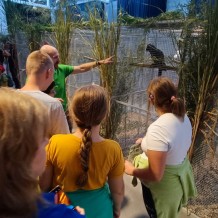 IV.A - Pod křídly exotů