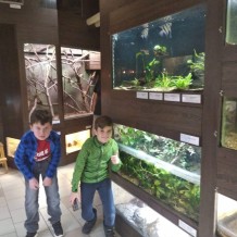 II. třída - chovatelské centrum ZŠ Bezručova