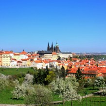 Výlet do Prahy