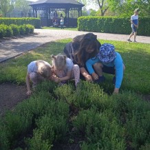 MŠ - Botanická zahrada