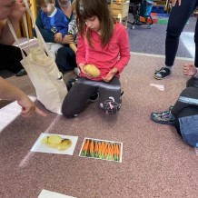 MŠ Ovoce, zelenina, houby