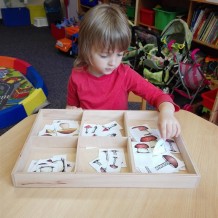 MŠ Ovoce, zelenina, houby