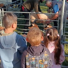 MŠ - Dožínky 2025