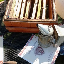 Příměstský pohádkový tábor – „ŘÍŠE POHÁDEK“