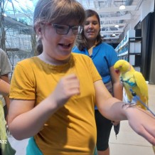 IV.A - Pod křídly exotů