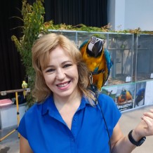 IV.A - Pod křídly exotů