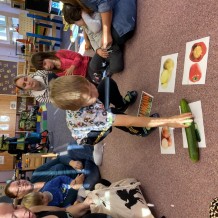 MŠ Ovoce, zelenina, houby