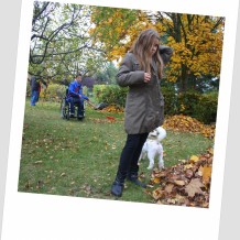 Podzim v naší škole