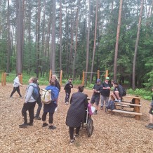 Hradecké lesy II.A+III.A