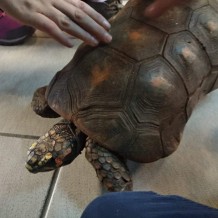 II. třída - chovatelské centrum ZŠ Bezručova