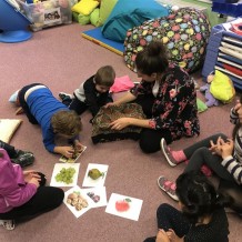 MŠ - OVOCE A ZELENINA