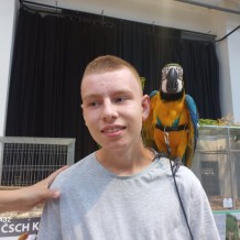 IV.A - Pod křídly exotů