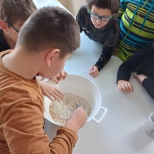 ŠD - sušenky aznac