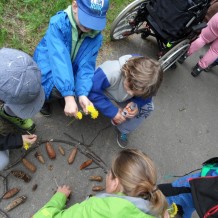 Medlov - ozdravný pobyt II