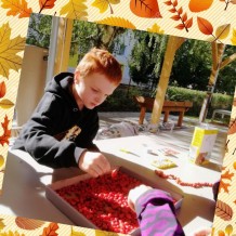 ŠD - Podzimní tvoření