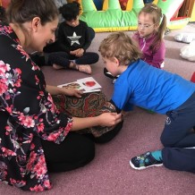 MŠ - OVOCE A ZELENINA