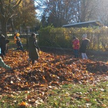 ŠD - Sněžná sova