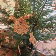 IV. A - Výlet do Chlumce nad Cidlinou na zámek Karlova Koruna