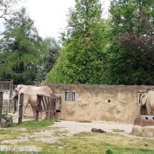 SŠ - ZOO Dvůr Králové