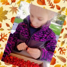 ŠD - Podzimní tvoření