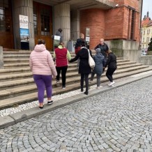 IV.A – výstava hub