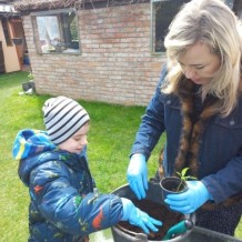 4.A - sázení paprik