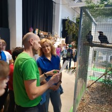 IV.A - Pod křídly exotů