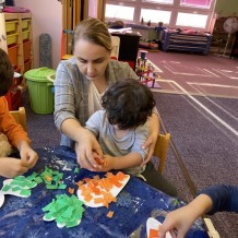 MŠ Ovoce, zelenina, houby