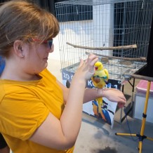 IV.A - Pod křídly exotů