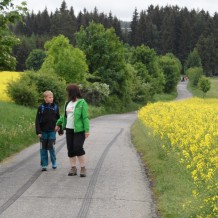 Medlov - ozdravný pobyt II