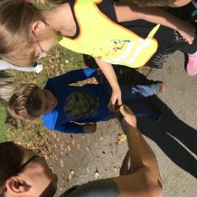 MŠ - Venku na procházce, na hřišti