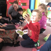 MŠ - OVOCE A ZELENINA