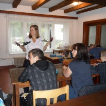 Medlov - ozdravný pobyt II