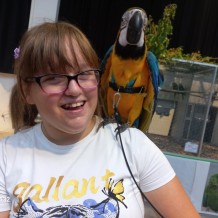 IV.A - Pod křídly exotů