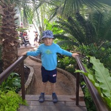 MŠ - Botanická zahrada