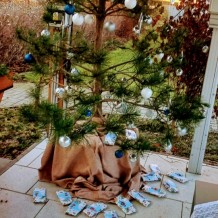 ŠD - Vánoční besídka